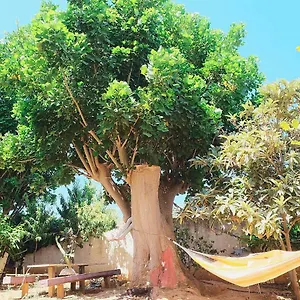 Casa Dada , Marinella di Selinunte Italia